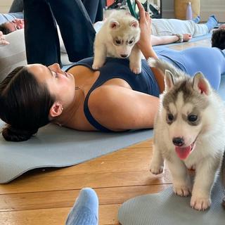 Puppy Yoga Session 
