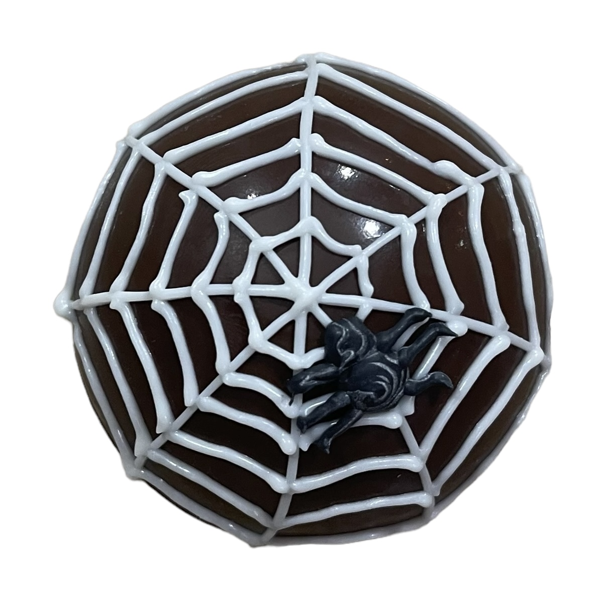 Spiderweb Main Image