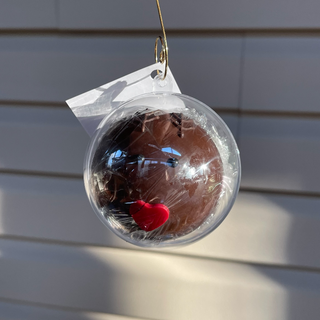 Reindeer Ornament