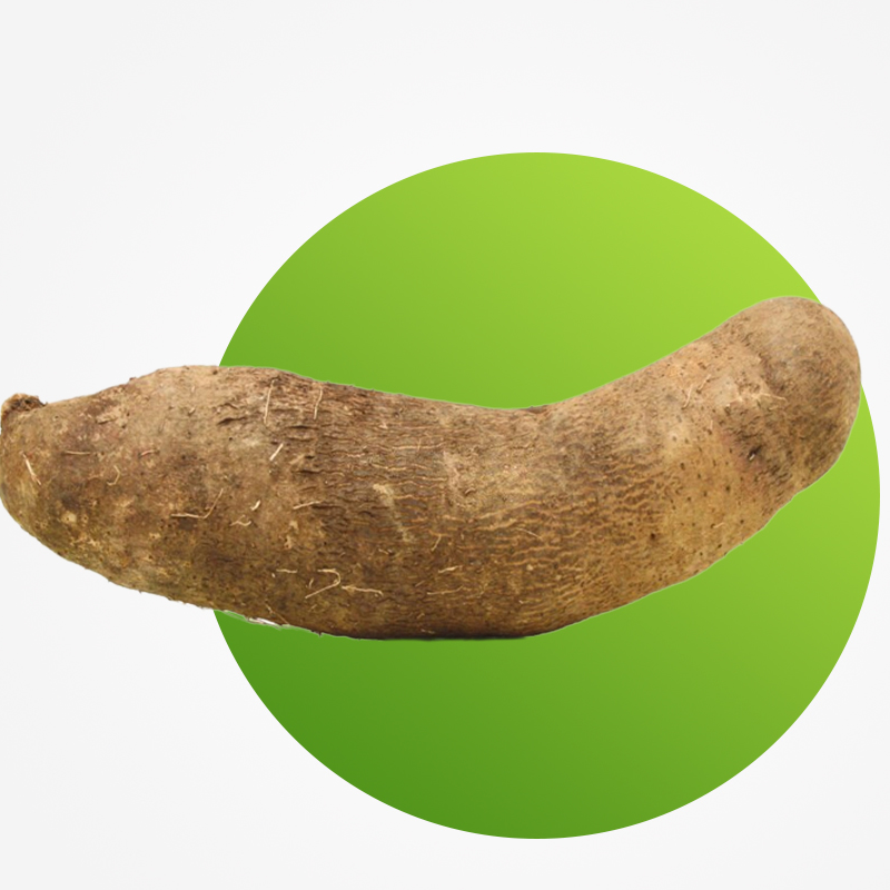 Yam Main Image