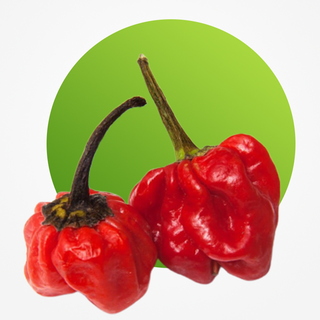 Rodo (Scotch bonnet)