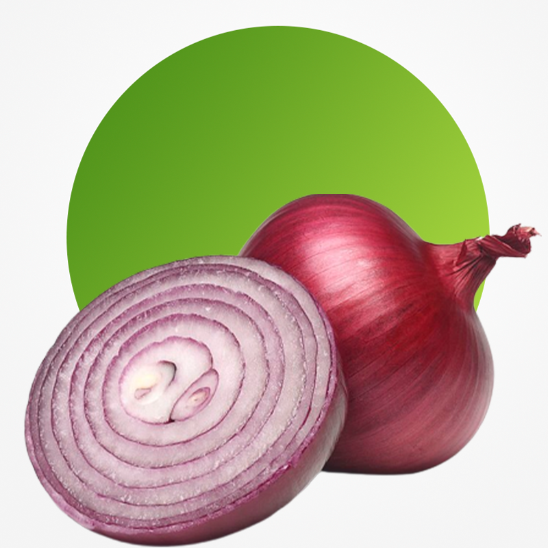 Onion Main Image