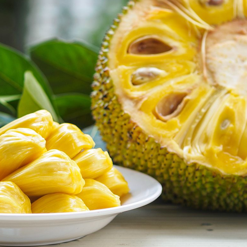 Jackfruit Main Image