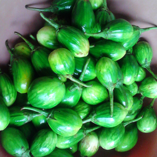 Entula (Garden egg)