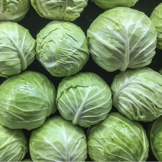 Cabbage