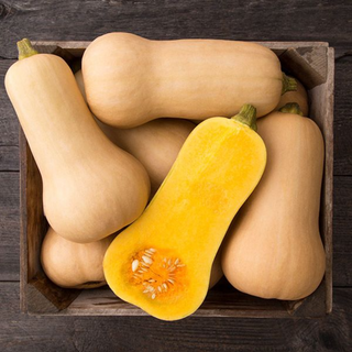 Butternut Squash