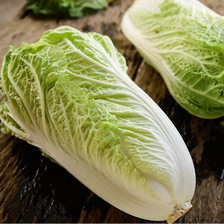 Chinese cabbage