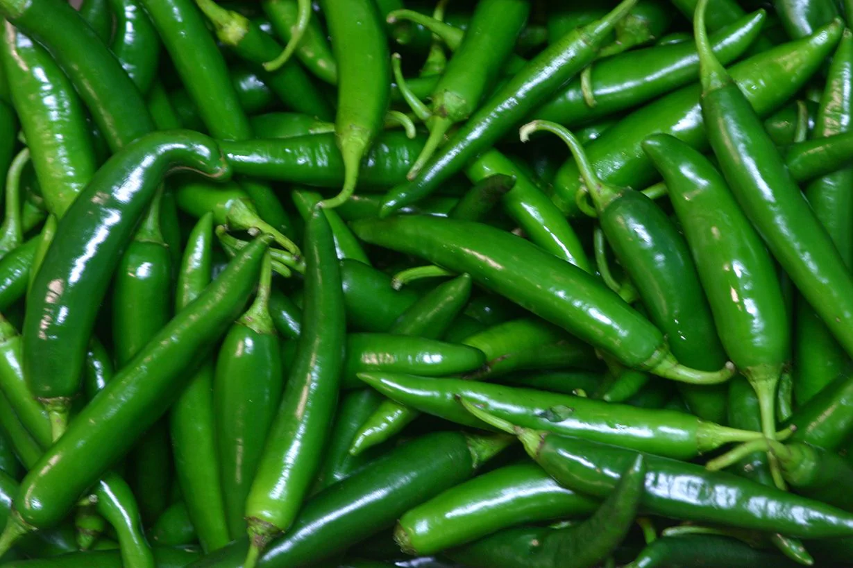 Green chilli Main Image