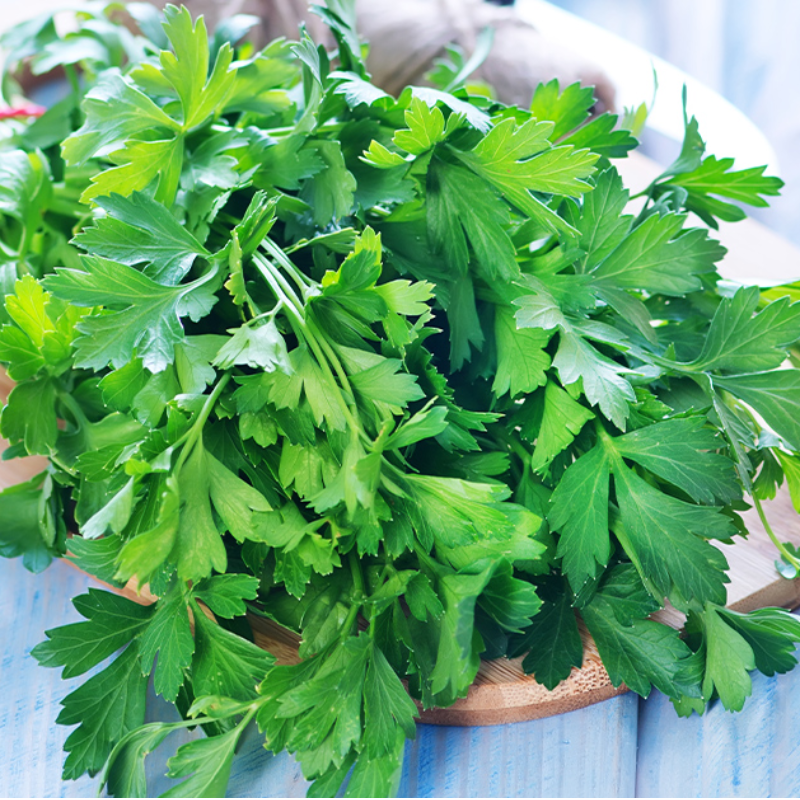 Parsley Main Image