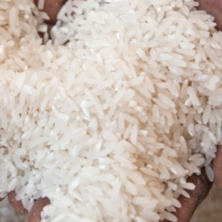 Super rice (TZ)