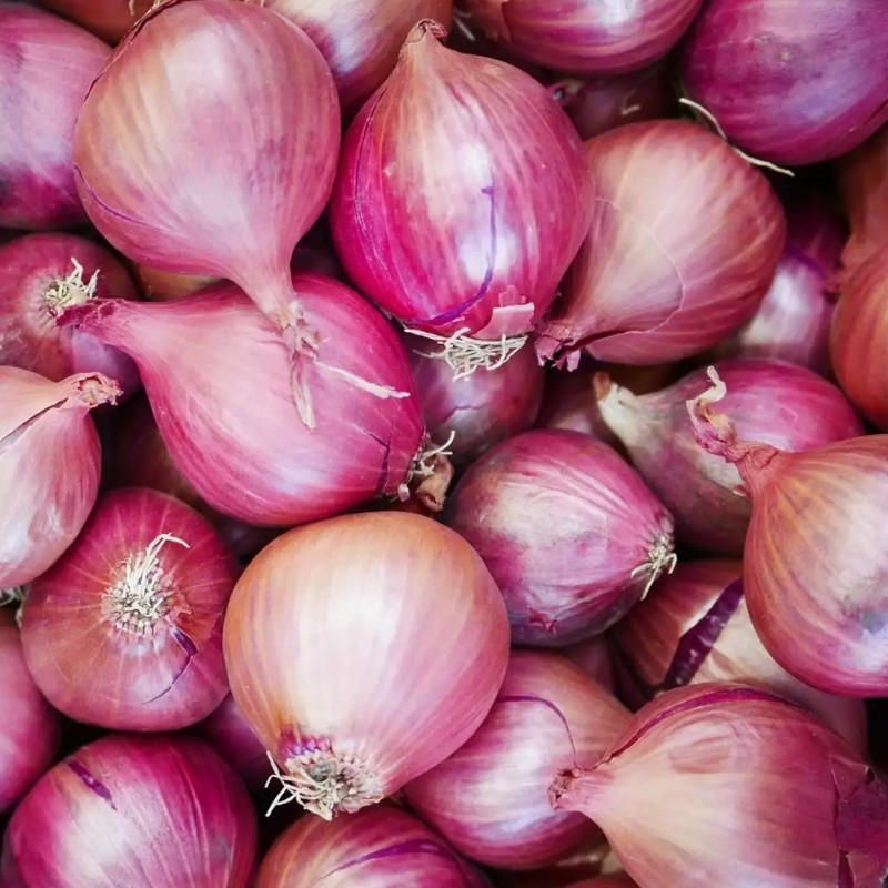 Onions Main Image