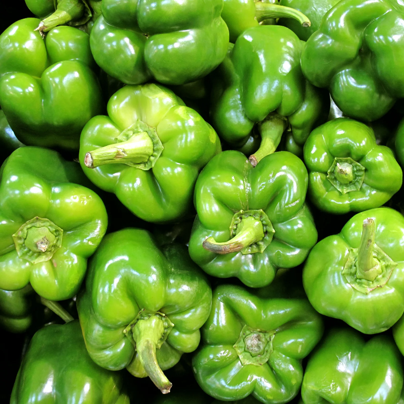 Green pepper Main Image