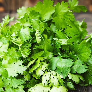 Cilantro/Coriander/Cot meal