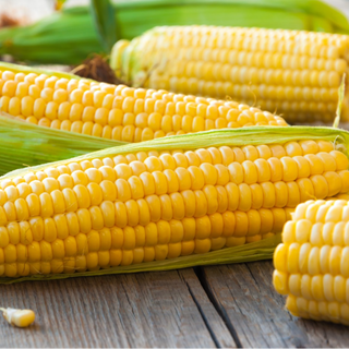 Fresh sweet corn