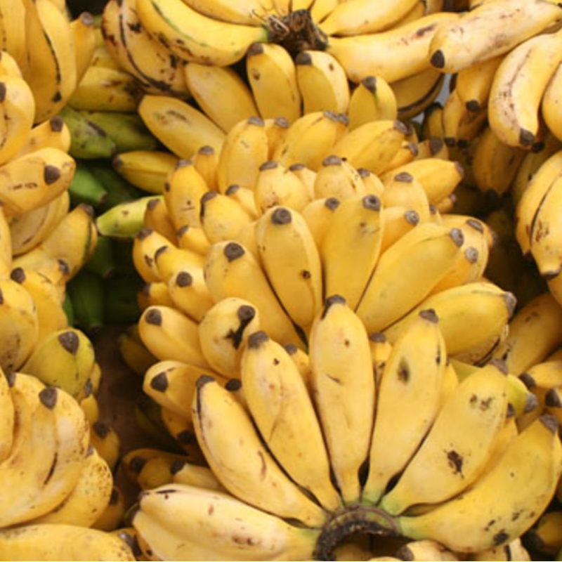 Small yellow bananas (Ndiizi) Main Image