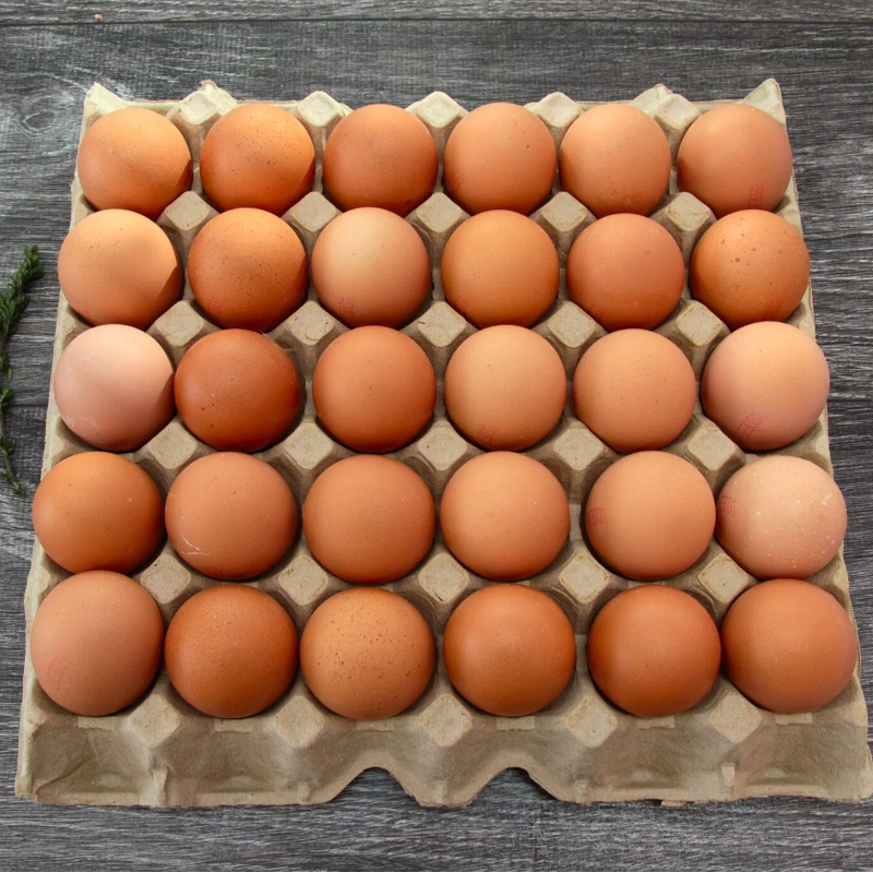 Eggs Main Image