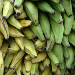 Plantain (Gonja)