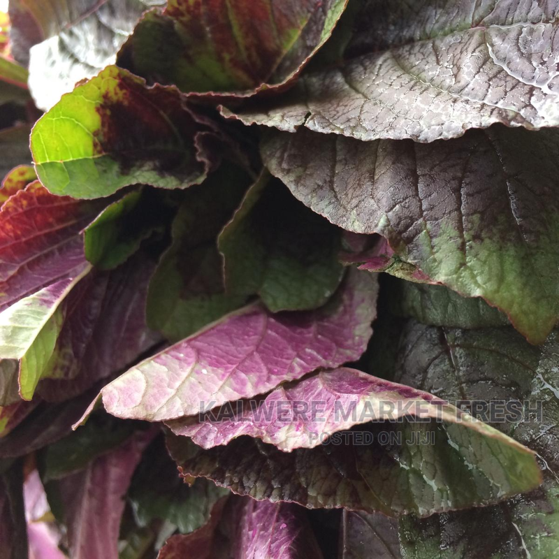 Bbuga (Red Amaranthus) Main Image