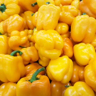 Yellow pepper