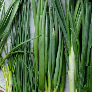 Spring onions