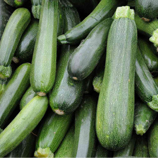 Zucchini