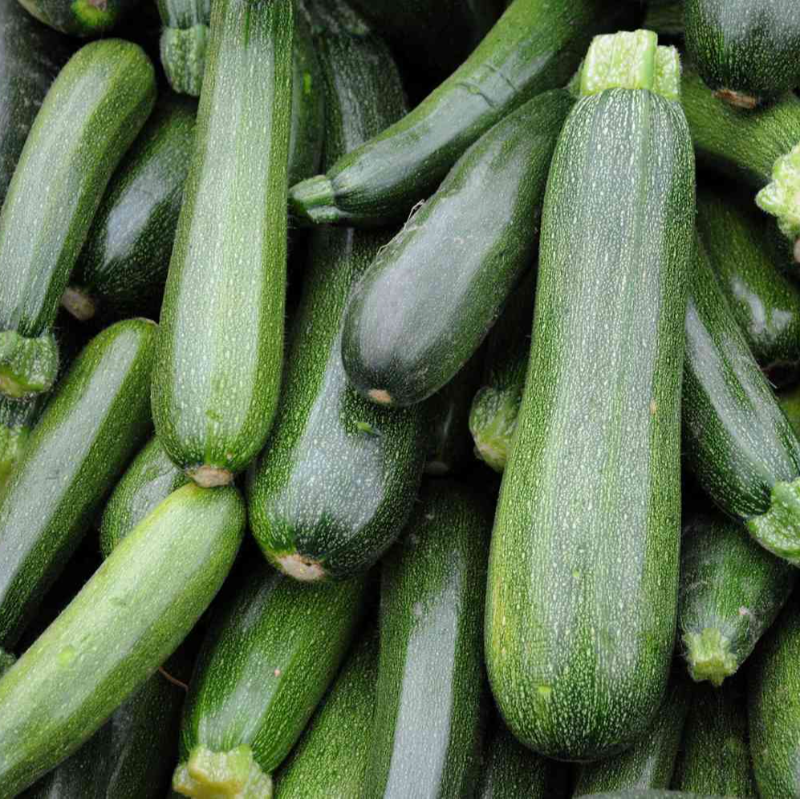 Zucchini Main Image