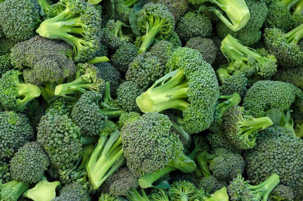 Broccoli Main Image