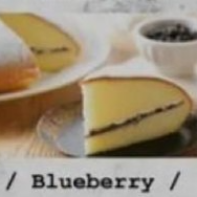 HOJIA - Blueberry
