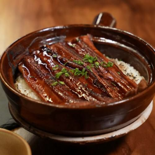 UNAGI DONABE