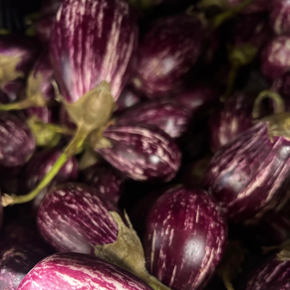 Small Aubergine (ചെറിയ വഴുതനങ്ങ) - 500 g Bag Main Image