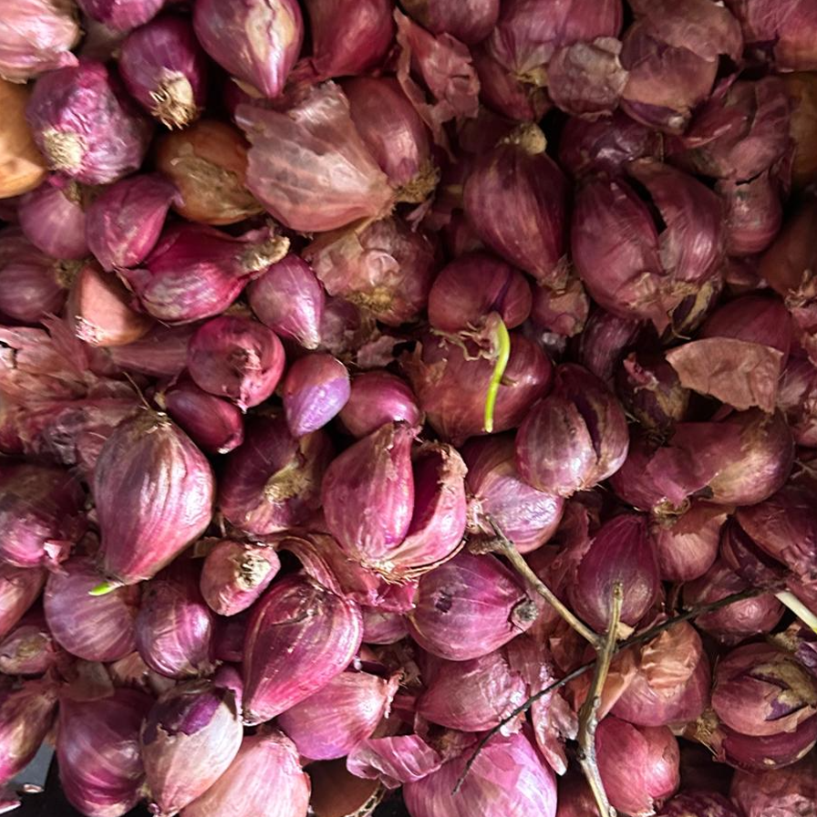 Shallots (ചെറിയ ഉള്ളി) - 500 g Bag Main Image