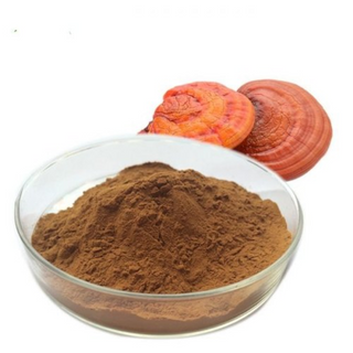 Reishi Mushroom Powder (2g)