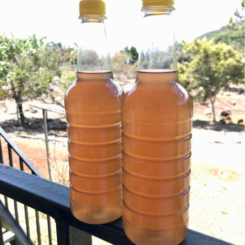 Ginger Tea Concentrate (750ml) Main Image