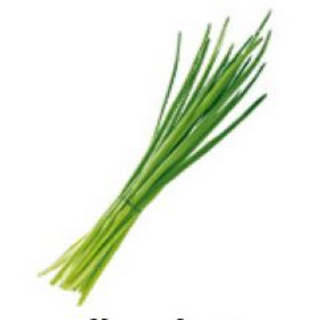 Herbes aromatiques