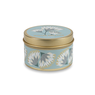 TT2-FL-WST | case of 12