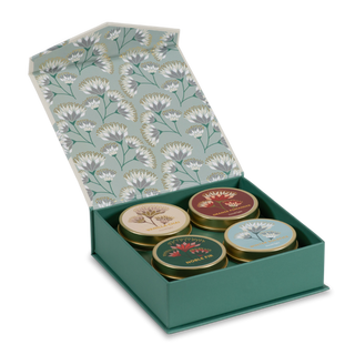 TT2-FL-GIFT | case of 6