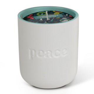 PEACE-VNC | Case of 6