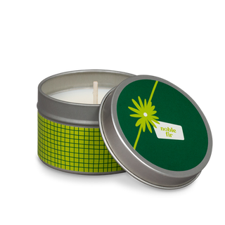 TT2-WOL-NOB | Case of 12