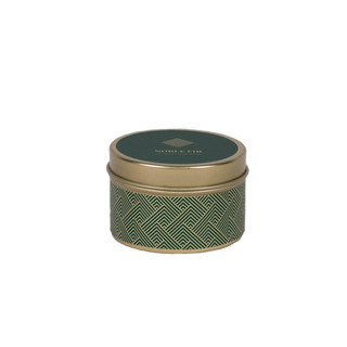 TT2-G-NOB | case of 12