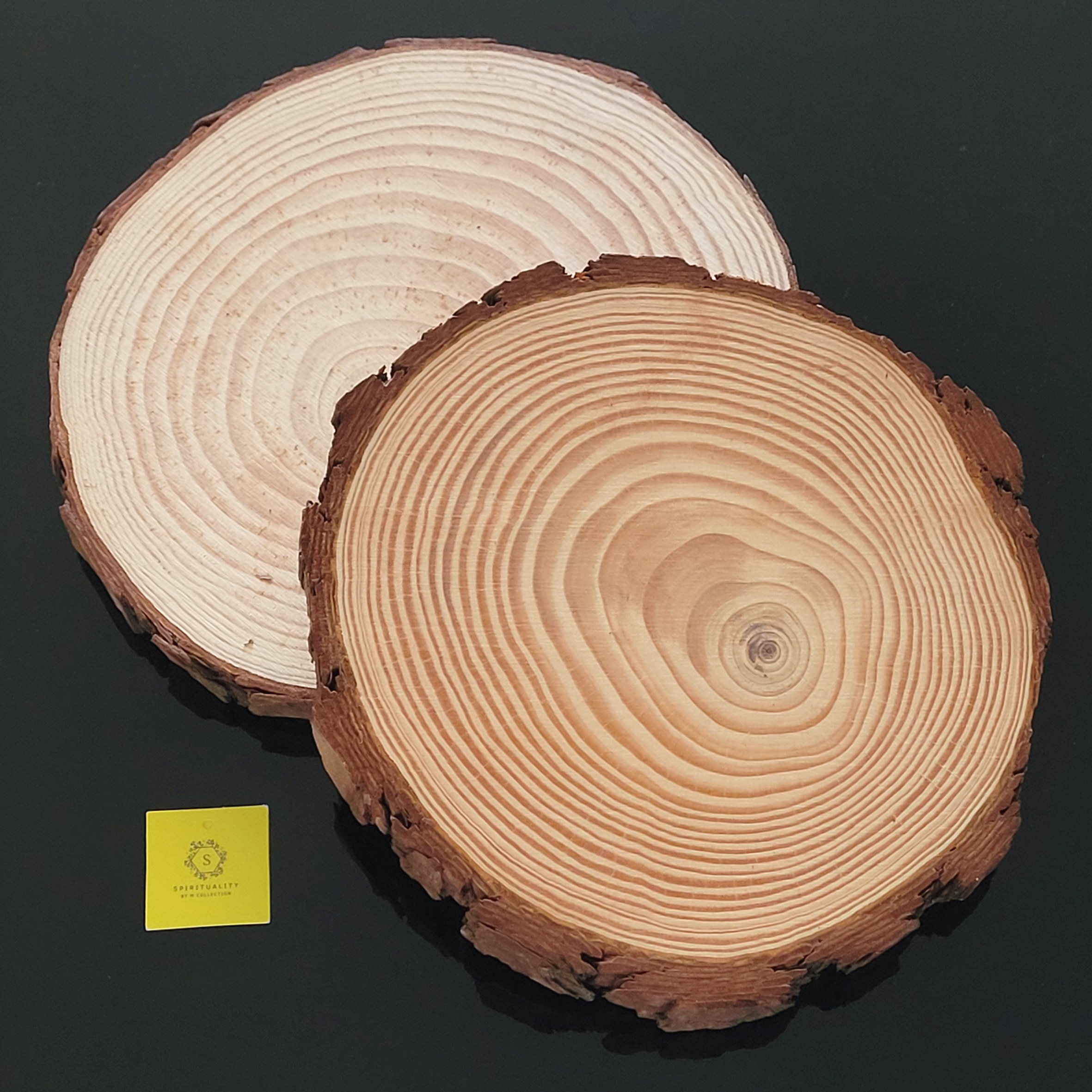 18-20cm 純天然松木板 18-20cm Natural Pinewood Unfinished Round Disc Large Image