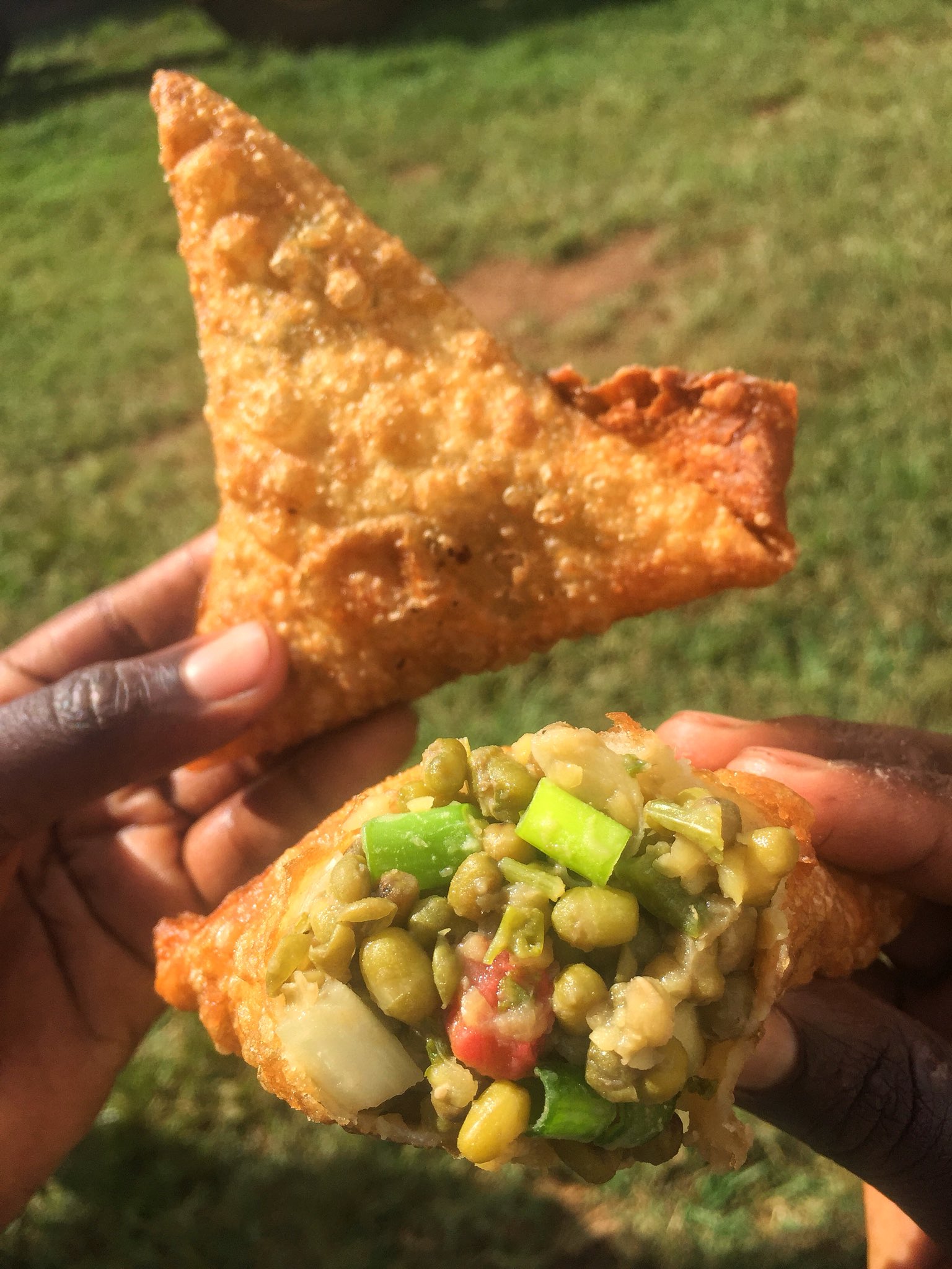 Vegetable Samosa 🌱 Main Image