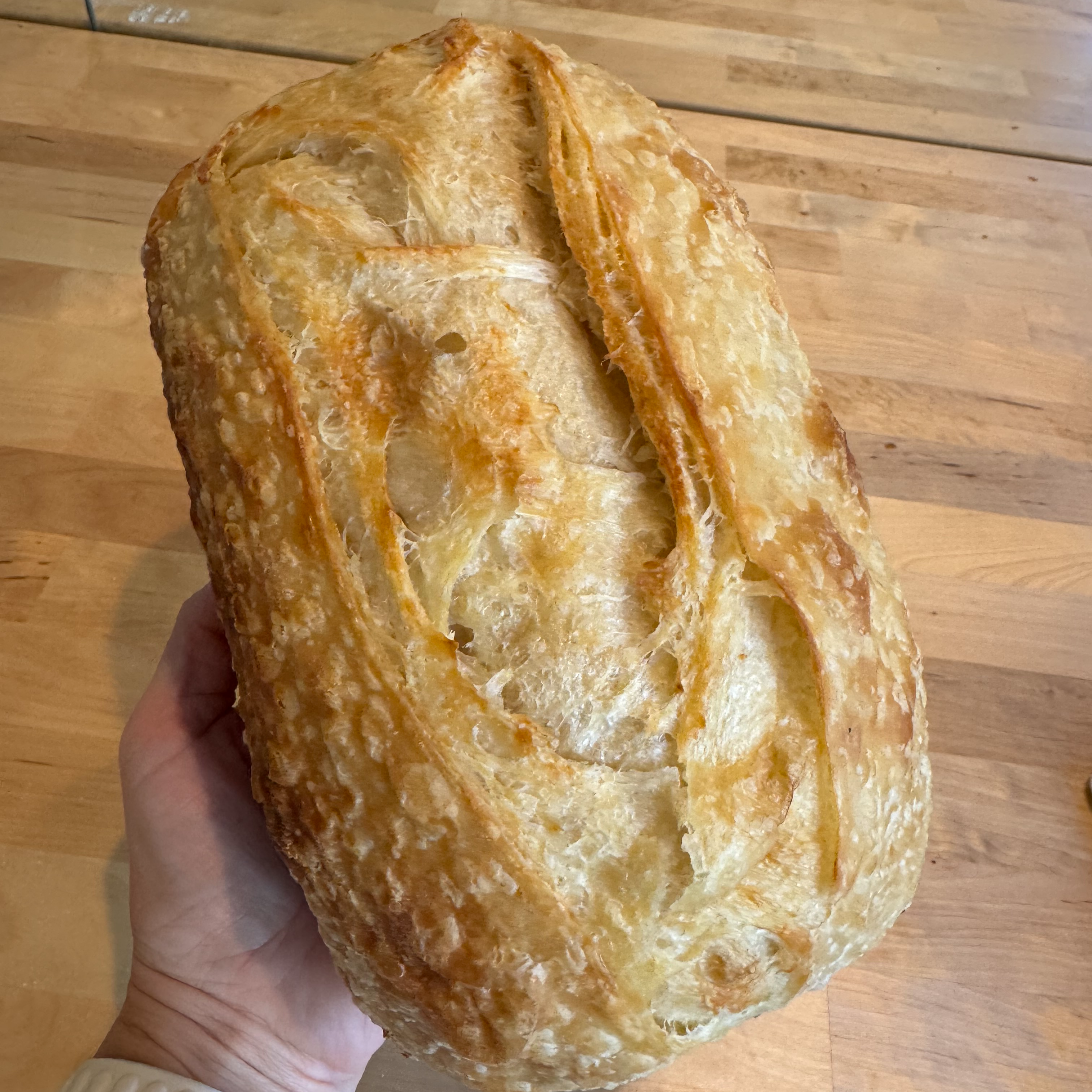 Croissant Sourdough 🥐