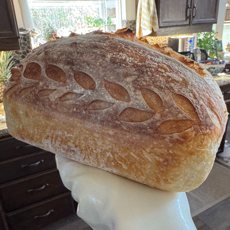 Simply Sourdough - Midi