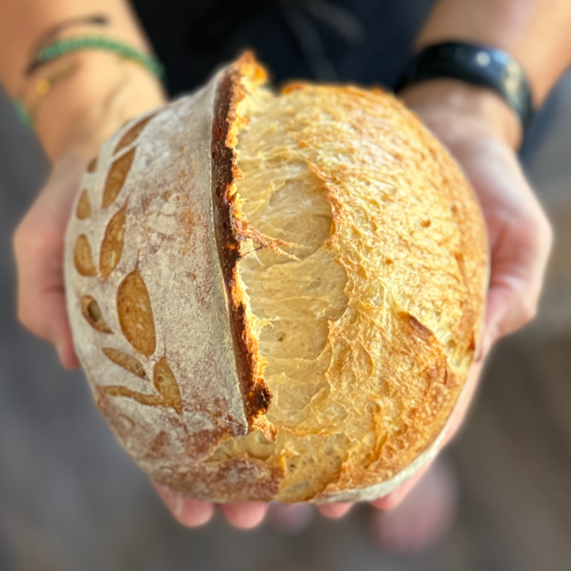 Simply Sourdough - Midi