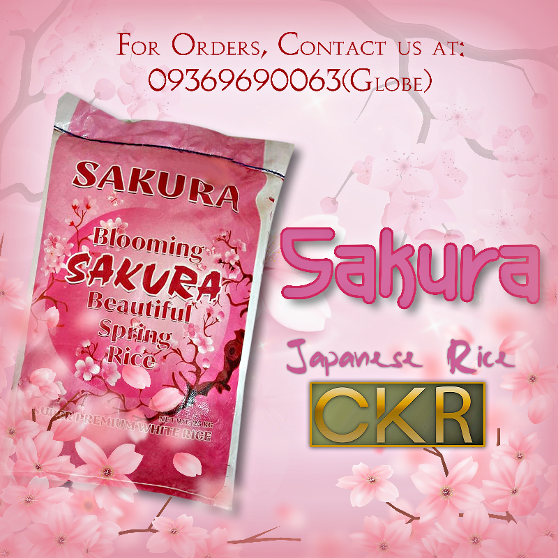 SAKURA Main Image