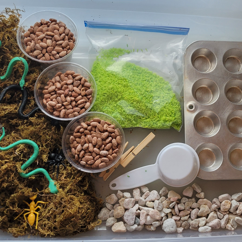 Pond Sensory Bin Main Image