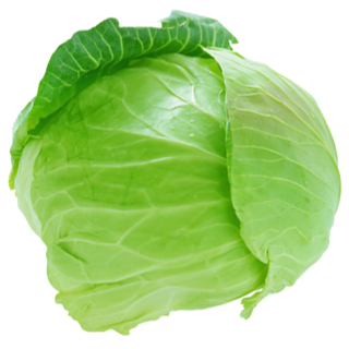 Cabbage (કોબીજ) 