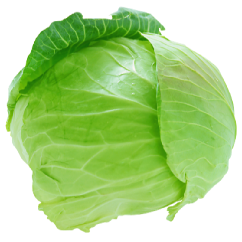 Cabbage (કોબીજ) 