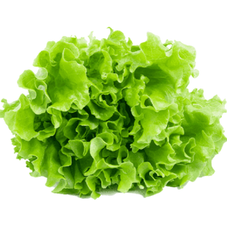 Ice berg Lettuce (લેટ્યુસ) (Not avaialble)