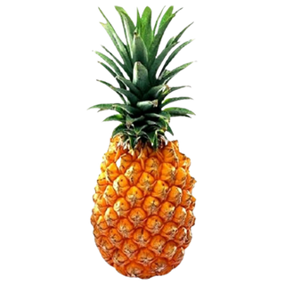 Pineapple (પાઈનએપલ ) 